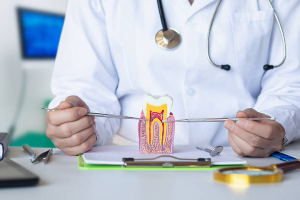 Best Emergency Tooth Extraction in Russellville, AL